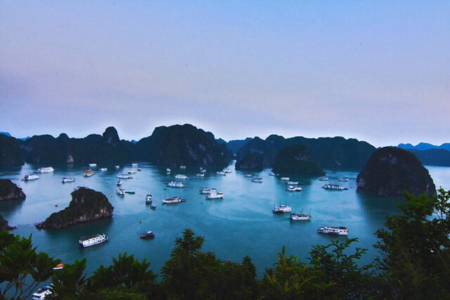Panoramic view of Halong Bay with many luxury cruises by Auasia Travel
